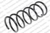 LESJ?FORS 4044234 Coil Spring